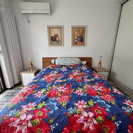 Kazanlak Large Guest House Apartment Near The Center With Full Kitchen & Dining Room, King Beds, Garden Patio, Free Parking & Self Check-In מראה חיצוני תמונה